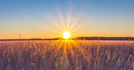 The 5 AM Club: Is Waking Up Early Worth It?