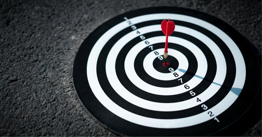 The Pursuit of Purpose: Bridging Vision and Daily Actions