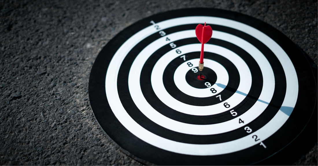 The Pursuit of Purpose: Bridging Vision and Daily Actions